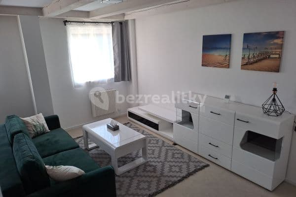 1 bedroom with open-plan kitchen flat to rent, 50 m², Za rybníkem, Lišany 1 bedroom with open-plan kitchen flat to rent, 50 m², Za rybníkem, Lišany