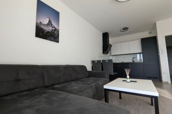 1 bedroom with open-plan kitchen flat to rent, 50 m², Plotní, Brno 1 bedroom with open-plan kitchen flat to rent, 50 m², Plotní, Brno