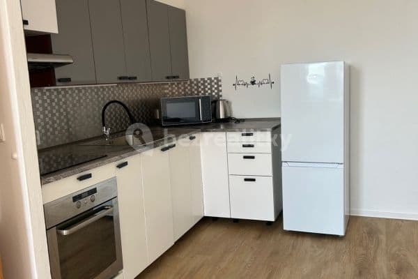 1 bedroom with open-plan kitchen flat to rent, 44 m², Spodní, Brno 1 bedroom with open-plan kitchen flat to rent, 44 m², Spodní, Brno