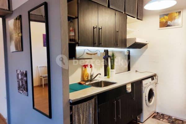1 bedroom with open-plan kitchen flat to rent, 35 m², Laudova, 1 bedroom with open-plan kitchen flat to rent, 35 m², Laudova,