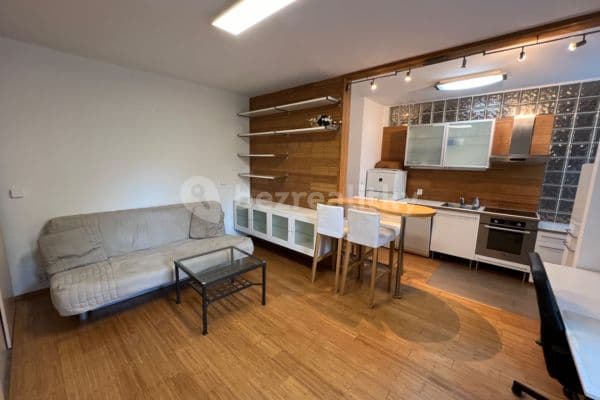 1 bedroom with open-plan kitchen flat to rent, 50 m², Bělohorská, Praha 1 bedroom with open-plan kitchen flat to rent, 50 m², Bělohorská, Praha