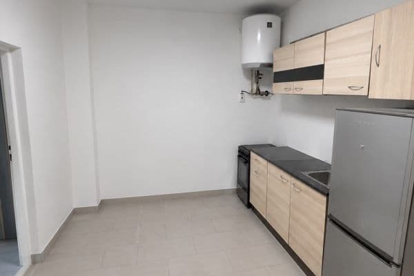 1 bedroom with open-plan kitchen flat to rent, 50 m², Geislerova, Brno 1 bedroom with open-plan kitchen flat to rent, 50 m², Geislerova, Brno