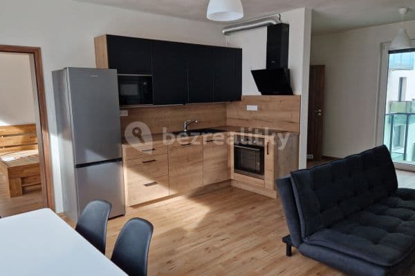 1 bedroom with open-plan kitchen flat to rent, 59 m², Poděbradova, Plzeň, Plzeňský Region 1 bedroom with open-plan kitchen flat to rent, 59 m², Poděbradova, Plzeň, Plzeňský Region