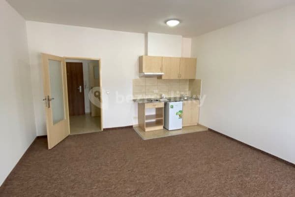 Studio flat to rent, 35 m², Otvovice Studio flat to rent, 35 m², Otvovice