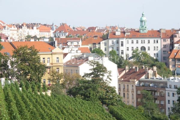 1 bedroom with open-plan kitchen flat to rent, 44 m², Na Královce, Praha 1 bedroom with open-plan kitchen flat to rent, 44 m², Na Královce, Praha