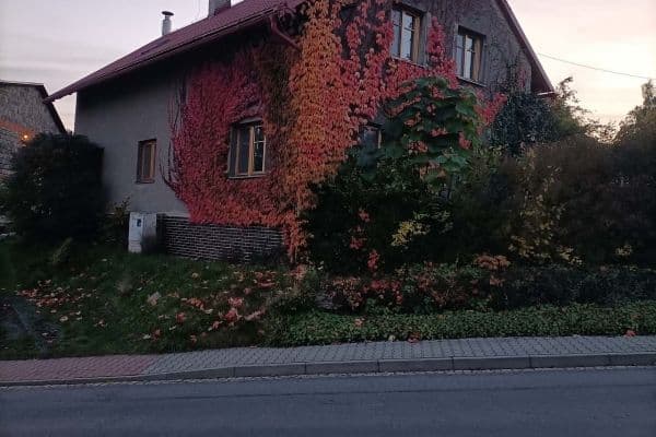 recreational property to rent, 0 m², Olbramice recreational property to rent, 0 m², Olbramice