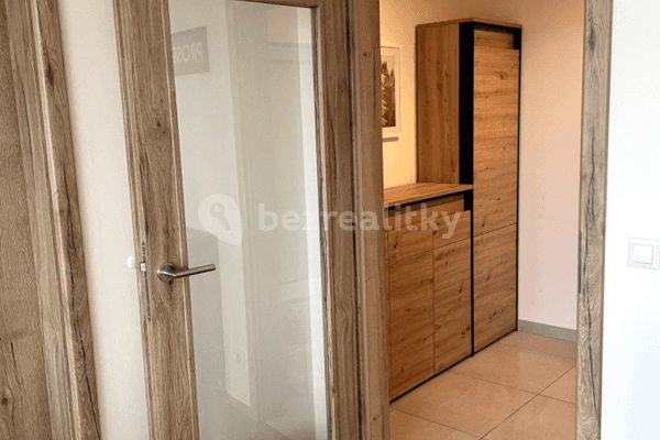 1 bedroom flat to rent, 47 m², Řepova, Brno 1 bedroom flat to rent, 47 m², Řepova, Brno