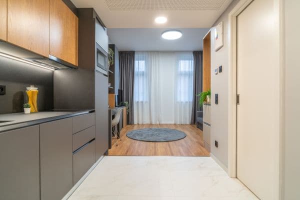 1 bedroom with open-plan kitchen flat to rent, 28 m², Legerova, Praha 1 bedroom with open-plan kitchen flat to rent, 28 m², Legerova, Praha