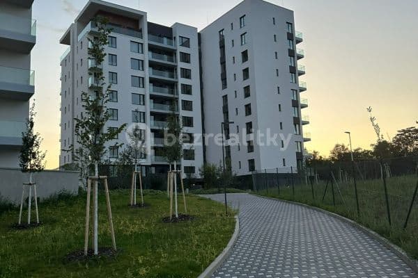 1 bedroom with open-plan kitchen flat to rent, 55 m², V Třešňovce, Praha 1 bedroom with open-plan kitchen flat to rent, 55 m², V Třešňovce, Praha