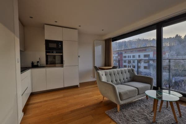 1 bedroom with open-plan kitchen flat to rent, 49 m², Na Pomezí, Praha 1 bedroom with open-plan kitchen flat to rent, 49 m², Na Pomezí, Praha