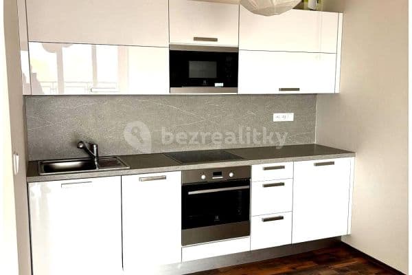 1 bedroom with open-plan kitchen flat to rent, 80 m², Kotíkovská, Plzeň, Plzeňský Region 1 bedroom with open-plan kitchen flat to rent, 80 m², Kotíkovská, Plzeň, Plzeňský Region