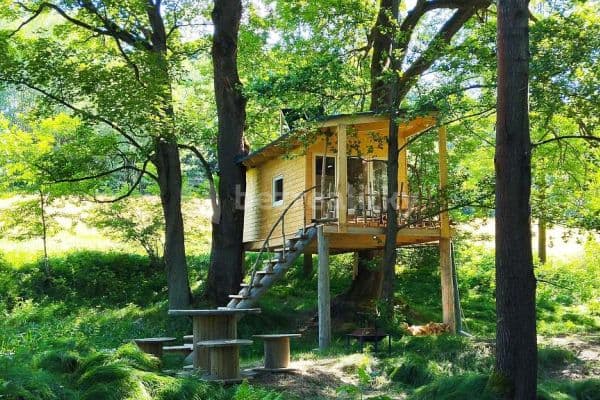 recreational property to rent, 0 m², Mikulášovice recreational property to rent, 0 m², Mikulášovice