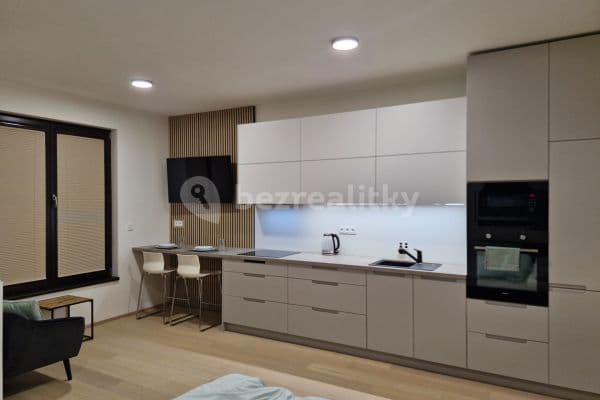 Studio flat to rent, 40 m², V Třešňovce, Praha Studio flat to rent, 40 m², V Třešňovce, Praha