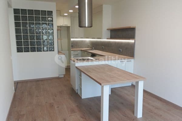1 bedroom with open-plan kitchen flat to rent, 62 m², České Budějovice, Jihočeský Region 1 bedroom with open-plan kitchen flat to rent, 62 m², České Budějovice, Jihočeský Region