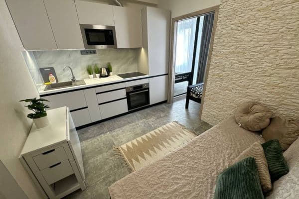 1 bedroom with open-plan kitchen flat to rent, 25 m², Sokolská, Praha 1 bedroom with open-plan kitchen flat to rent, 25 m², Sokolská, Praha