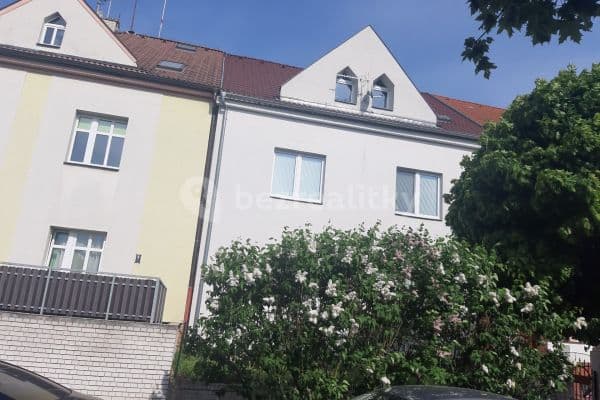 3 bedroom flat to rent, 80 m², Nad Mazankou, Praha 3 bedroom flat to rent, 80 m², Nad Mazankou, Praha