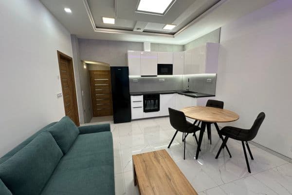 1 bedroom with open-plan kitchen flat to rent, 50 m², Sokolovská, Praha 1 bedroom with open-plan kitchen flat to rent, 50 m², Sokolovská, Praha