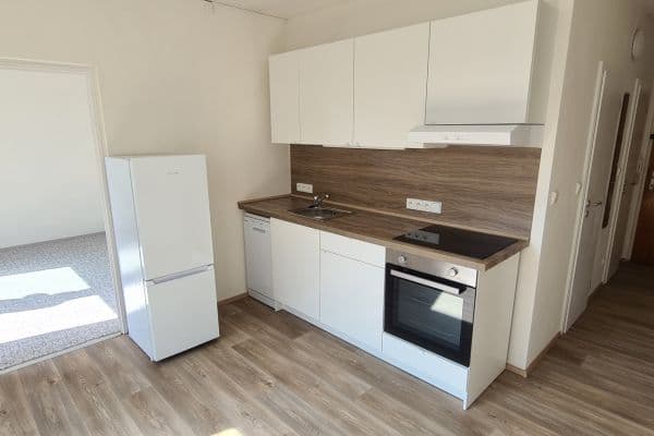 1 bedroom with open-plan kitchen flat to rent, 39 m², Herčíkova, Brno 1 bedroom with open-plan kitchen flat to rent, 39 m², Herčíkova, Brno