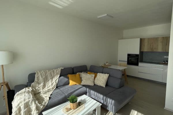 1 bedroom with open-plan kitchen flat to rent, 60 m², U Škol, Bučovice 1 bedroom with open-plan kitchen flat to rent, 60 m², U Škol, Bučovice