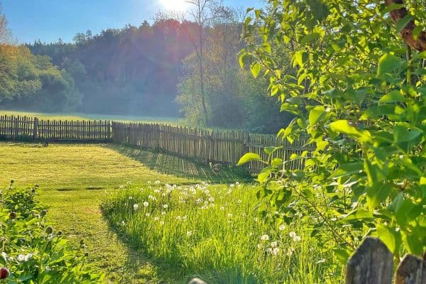 recreational property to rent, 0 m², Rohle - Janoslavice recreational property to rent, 0 m², Rohle - Janoslavice