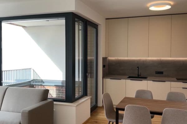 1 bedroom with open-plan kitchen flat to rent, 64 m², Závišova, Praha 1 bedroom with open-plan kitchen flat to rent, 64 m², Závišova, Praha