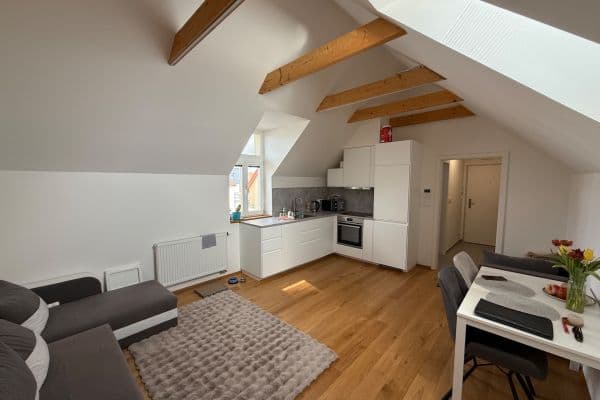 1 bedroom with open-plan kitchen flat to rent, 41 m², Pod Rybníkem, Hlavní město Praha 1 bedroom with open-plan kitchen flat to rent, 41 m², Pod Rybníkem, Hlavní město Praha