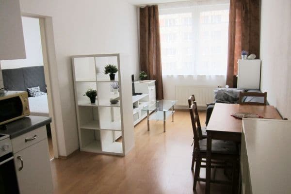 1 bedroom with open-plan kitchen flat to rent, 36 m², Hnězdenská, Praha 1 bedroom with open-plan kitchen flat to rent, 36 m², Hnězdenská, Praha