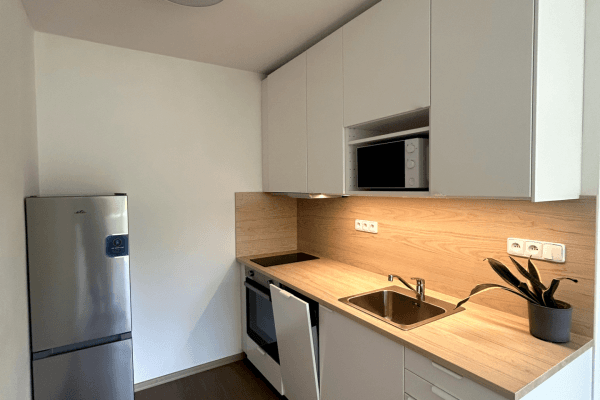 1 bedroom with open-plan kitchen flat to rent, 40 m², Teplická, Praha 1 bedroom with open-plan kitchen flat to rent, 40 m², Teplická, Praha