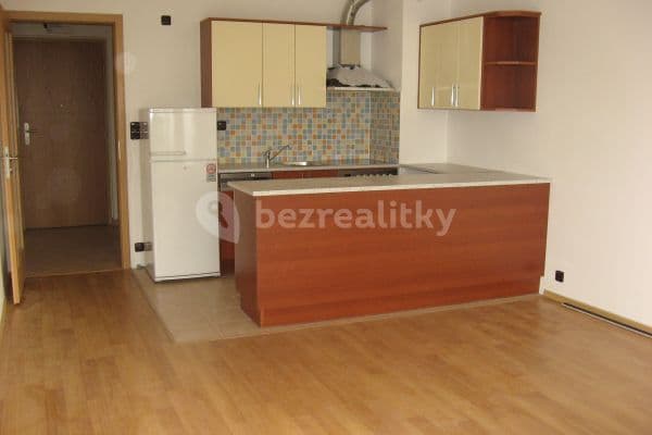 1 bedroom with open-plan kitchen flat to rent, 57 m², Třeboňská, Prague, Prague
