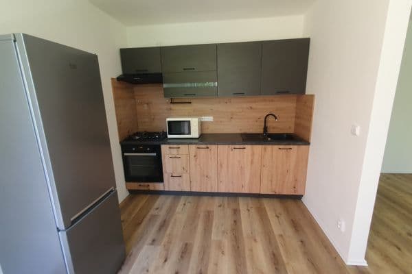 2 bedroom with open-plan kitchen flat to rent, 57 m², Novodvorská, Praha 2 bedroom with open-plan kitchen flat to rent, 57 m², Novodvorská, Praha