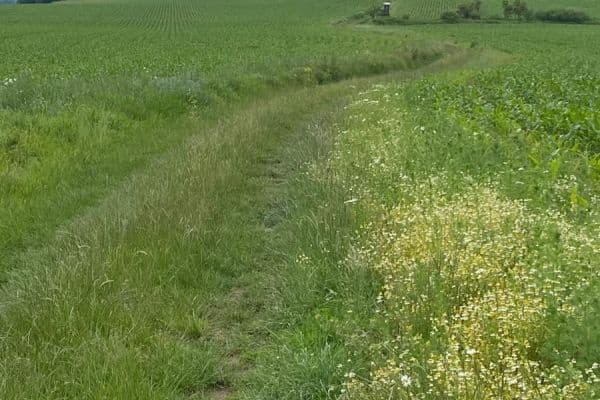 plot for sale, 2,104 m², Maršovice plot for sale, 2,104 m², Maršovice