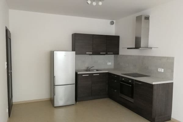 1 bedroom with open-plan kitchen flat to rent, 53 m², Svitákova, Praha 1 bedroom with open-plan kitchen flat to rent, 53 m², Svitákova, Praha