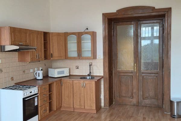 1 bedroom with open-plan kitchen flat to rent, 64 m², Hálkova, Plzeň, Plzeňský Region 1 bedroom with open-plan kitchen flat to rent, 64 m², Hálkova, Plzeň, Plzeňský Region