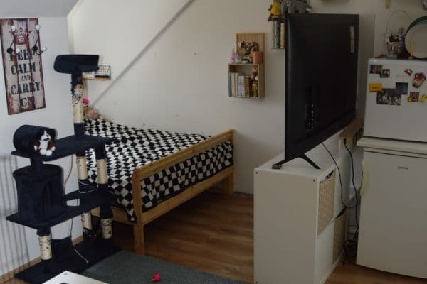 Studio flat to rent, 27 m², Újezd, Praha Studio flat to rent, 27 m², Újezd, Praha