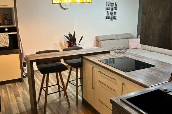 1 bedroom with open-plan kitchen flat to rent, 40 m², Garážní, Ostrava 1 bedroom with open-plan kitchen flat to rent, 40 m², Garážní, Ostrava
