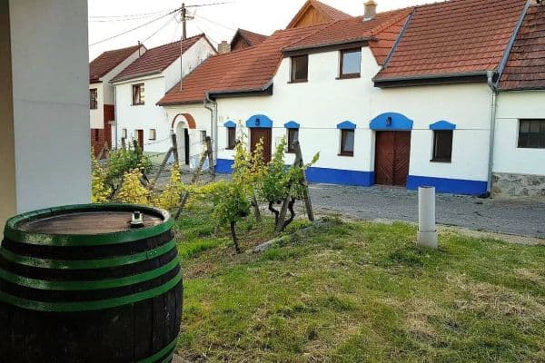 recreational property to rent, 0 m², Bořetice recreational property to rent, 0 m², Bořetice