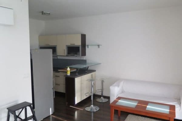 Studio flat to rent, 36 m², Lomená, Zbuzany Studio flat to rent, 36 m², Lomená, Zbuzany