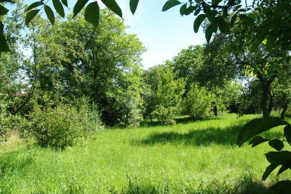plot for sale, 1,635 m², Bažantní, Praha plot for sale, 1,635 m², Bažantní, Praha