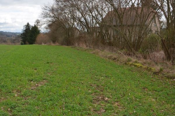 Plot for sale Plot for sale