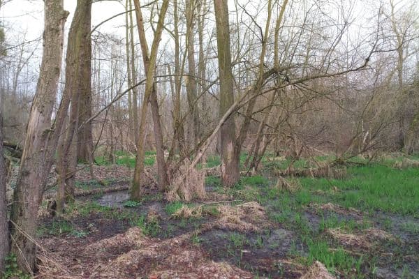 plot for sale, 2,638 m², Klimkovice plot for sale, 2,638 m², Klimkovice