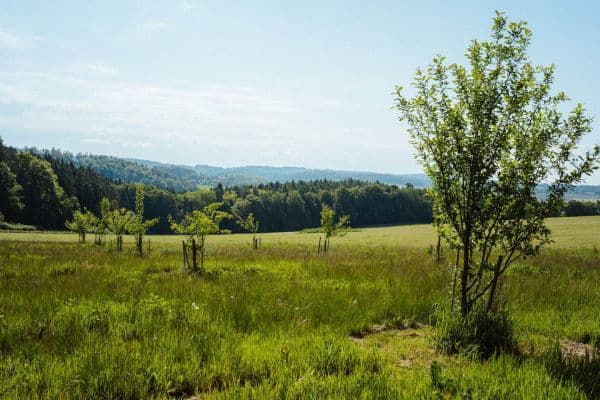 plot for sale, 126,783 m², Žirov plot for sale, 126,783 m², Žirov