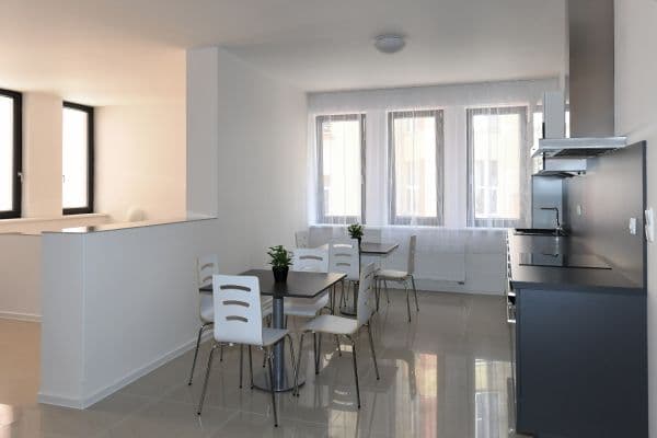 flat to rent, 20 m², Úvoz, Brno flat to rent, 20 m², Úvoz, Brno