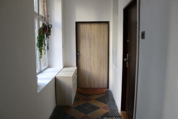 1 bedroom with open-plan kitchen flat to rent, 41 m², Bořivojova, Praha 1 bedroom with open-plan kitchen flat to rent, 41 m², Bořivojova, Praha