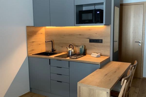 Studio flat for sale, 33 m², Modrokamenná, Janské Lázně, Královéhradecký Region Studio flat for sale, 33 m², Modrokamenná, Janské Lázně, Královéhradecký Region