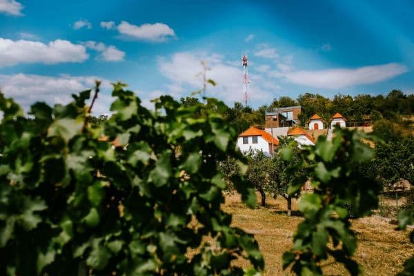 recreational property to rent, 0 m², Jaroslavice recreational property to rent, 0 m², Jaroslavice