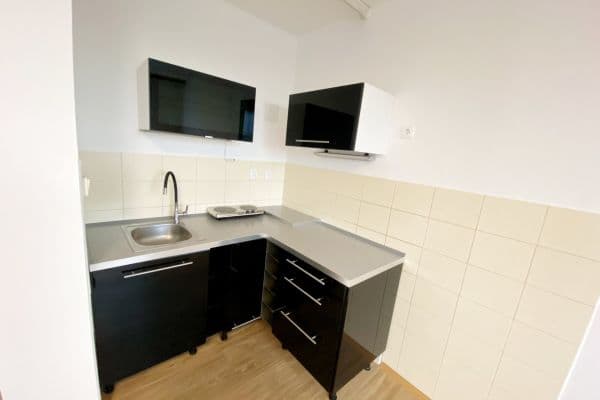 1 bedroom with open-plan kitchen flat to rent, 45 m², Vazovova,  1 bedroom with open-plan kitchen flat to rent, 45 m², Vazovova,