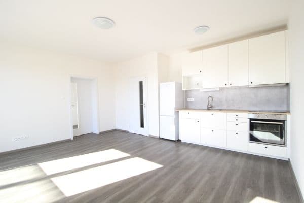 1 bedroom with open-plan kitchen flat to rent, 47 m², Palackého,  1 bedroom with open-plan kitchen flat to rent, 47 m², Palackého,