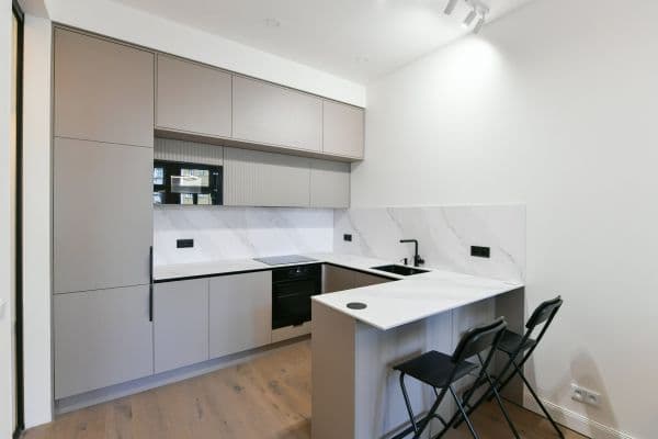 1 bedroom with open-plan kitchen flat to rent, 44 m², Na Spojce, Praha 1 bedroom with open-plan kitchen flat to rent, 44 m², Na Spojce, Praha
