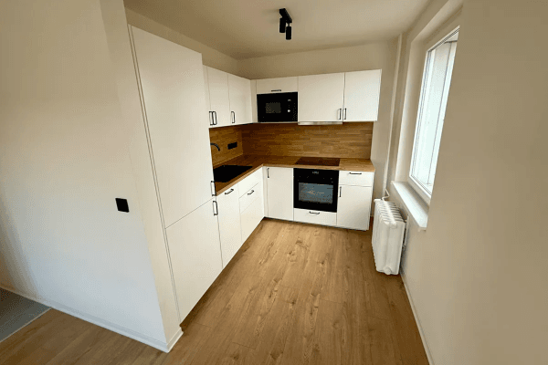 1 bedroom with open-plan kitchen flat to rent, 42 m², Na Úlehli, Praha 1 bedroom with open-plan kitchen flat to rent, 42 m², Na Úlehli, Praha