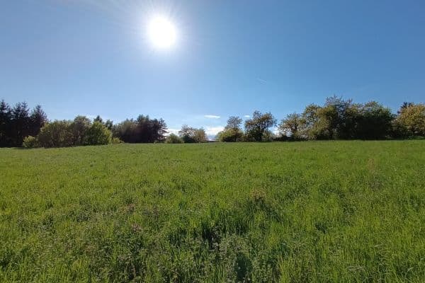 plot for sale, 748 m², Braníškov plot for sale, 748 m², Braníškov